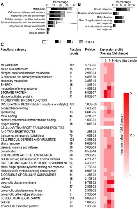 hvccr|Two differentially regulated Arabidopsis genes define a new .